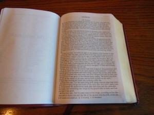 nasb large print compact 024