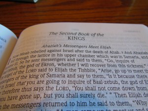 nasb large print compact 025