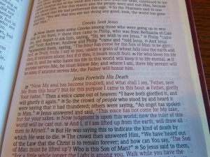 nasb large print compact 027