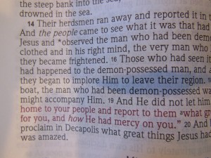 nasb large print compact 036