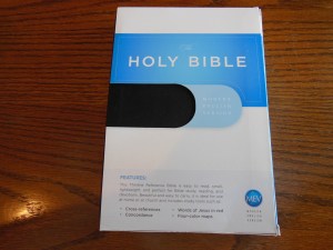 Passio MEV Bible 005