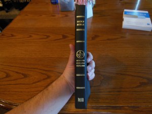 Passio MEV Bible 010