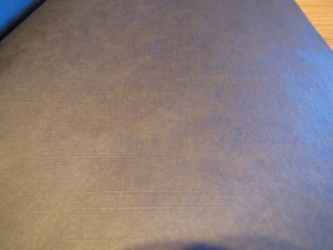 Passio MEV Bible 013