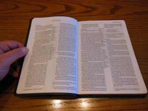 Passio MEV Bible 025