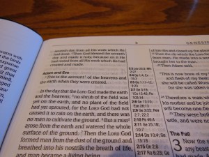Passio MEV Bible 026