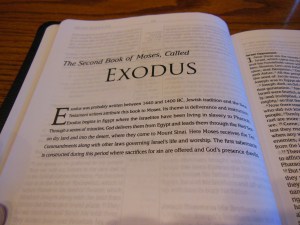 Passio MEV Bible 028