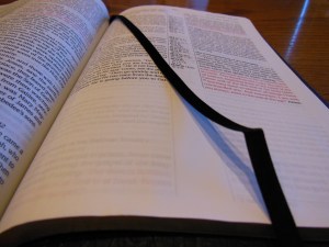 Passio MEV Bible 029