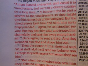 Passio MEV Bible 032