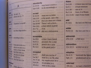 Passio MEV Bible 034