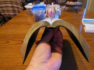 Passio MEV Bible 040