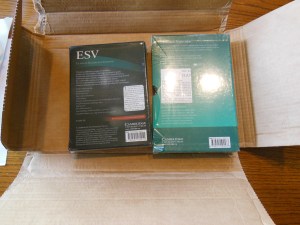 Cambridge ESV Clarion and REB 003