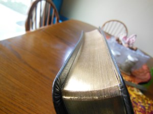 Cambridge ESV Clarion and REB 014