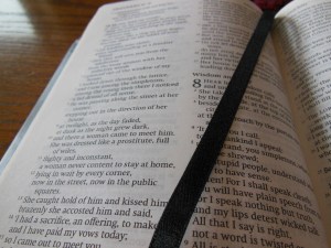 Cambridge ESV Clarion and REB 016