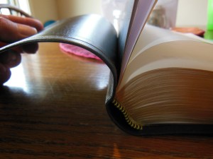 Cambridge ESV Clarion and REB 018