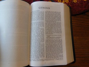 Cambridge ESV Clarion and REB 030