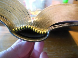 Cambridge ESV Clarion and REB 038