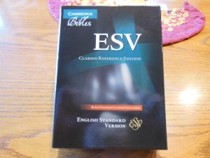 Cambridge ESV Clarion and REB 044