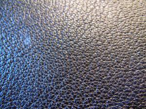 Cambridge ESV Clarion and REB 046