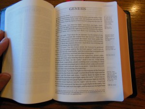 Cambridge ESV Clarion and REB 067