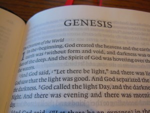 Cambridge ESV Clarion and REB 068