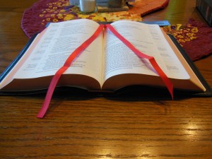 Cambridge ESV Clarion and REB 070