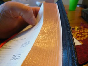 Cambridge ESV Clarion and REB 071