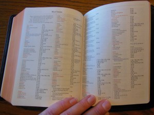 Cambridge ESV Clarion and REB 076