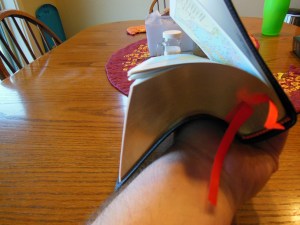 Cambridge ESV Clarion and REB 087