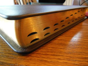 Holman woman's hcsb study bible 009