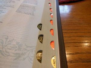 Holman woman's hcsb study bible 015