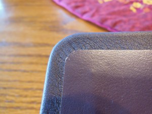 Holman woman's hcsb study bible 017