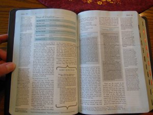 Holman woman's hcsb study bible 042