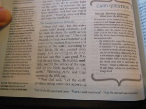 Holman woman's hcsb study bible 045