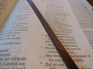 Holman woman's hcsb study bible 051