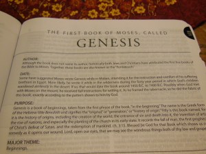 Matthew Henry kjv study Bible 028