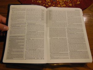 Matthew Henry kjv study Bible 032