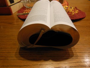 Matthew Henry kjv study Bible 046