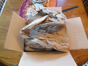 nasb picture bible 001