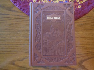 nasb picture bible 006