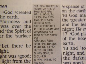 nasb picture bible 028