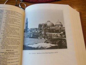 nasb picture bible 033